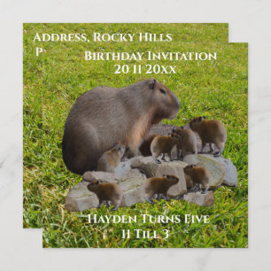 Mommy And Baby Capybaras, Birthday Invitation
