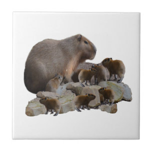 Mommy And Baby Capybaras, Ceramic Tile
