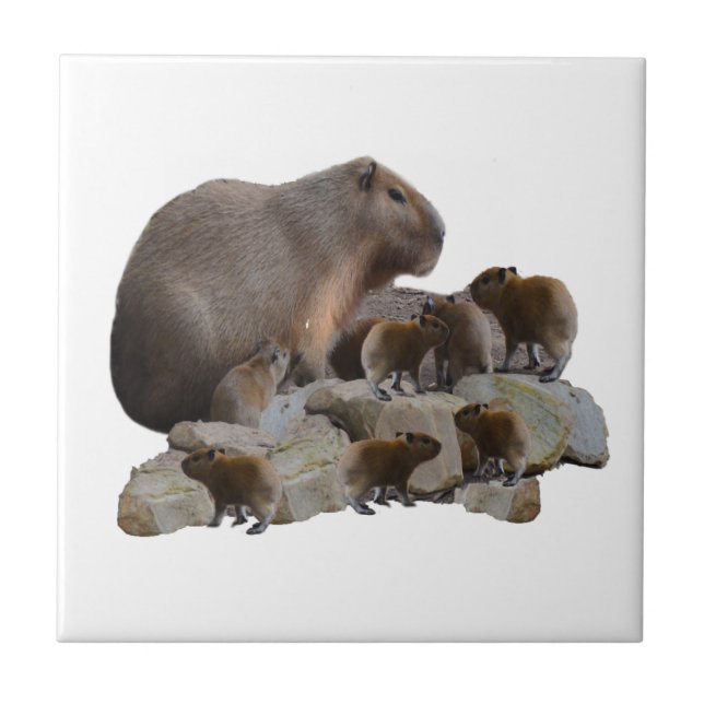 Mommy And Baby Capybaras, Ceramic Tile (Front)