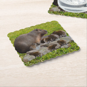 Mommy And Baby Capybaras, Paper Coaster