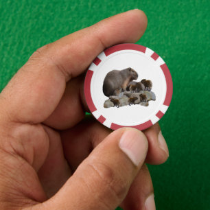 Mommy And Baby Capybaras, Poker Chips