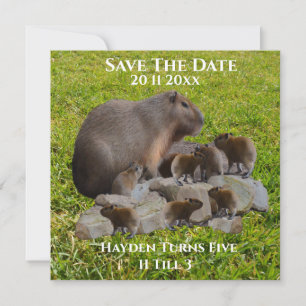 Mommy And Baby Capybaras, Save The Date