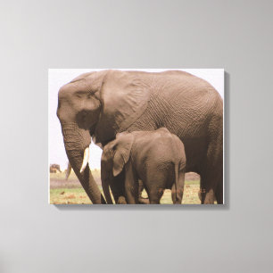 Mommy and Baby Elephant Canvas Print