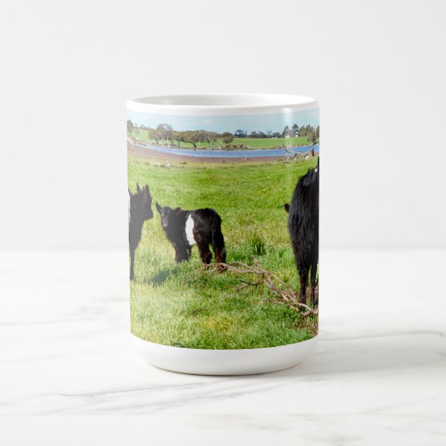 Mommy And Baby Galloway Cow, Coffee Mug (Center)