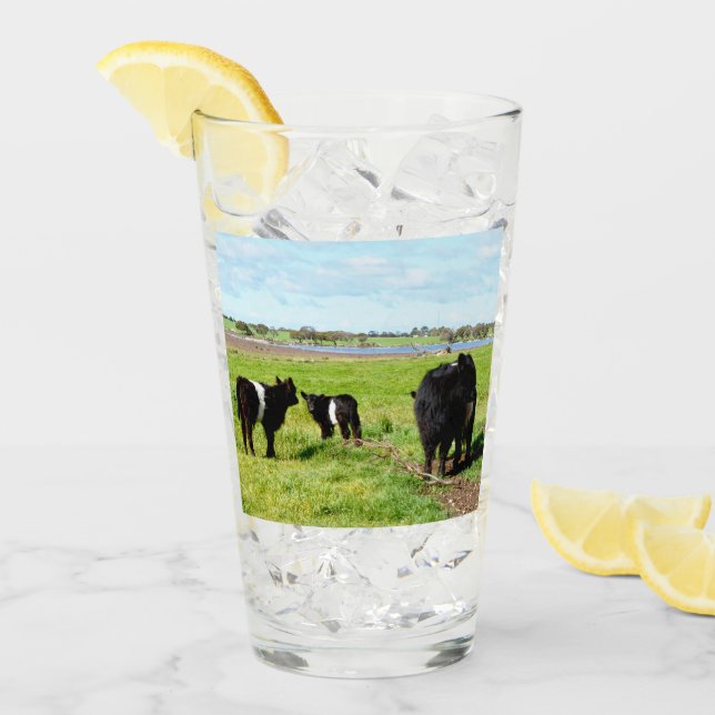 Mommy And Baby Galloway Cow, Drink Glass (Front Ice)