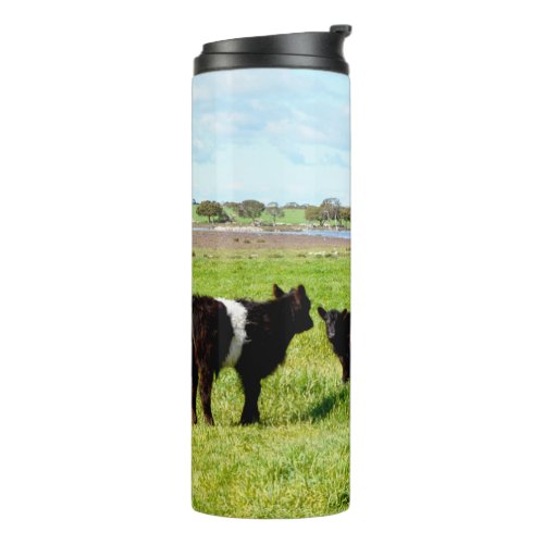 Mommy And Baby Galloway Cow Hip Flask Thermal Tumbler