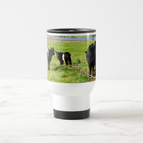 Mommy And Baby Galloway Cow Travel Mug