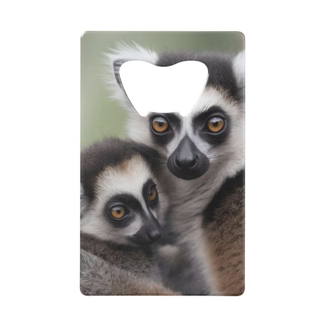 Mommy And Baby Lemur Cuddling,  Credit Card Bottle Opener (Front)