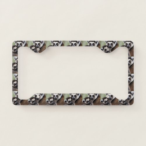Mommy And Baby Lemur Cuddling License Plate Frame