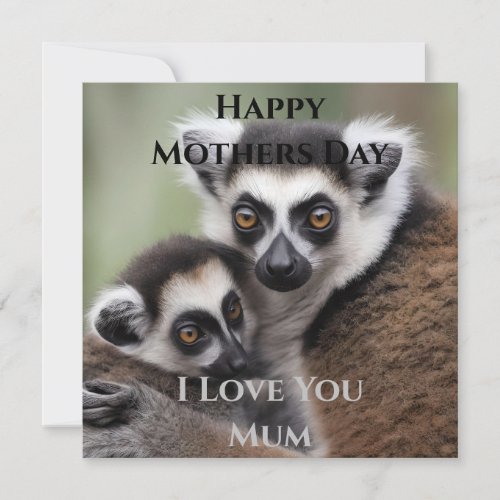 Mommy And Baby Lemur Cuddling Mothers Day Card