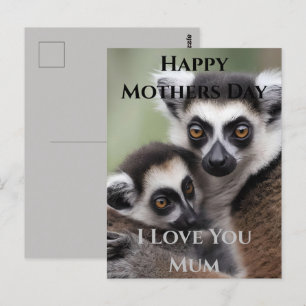 Mommy And Baby Lemur Cuddling Mothers Day Postcard