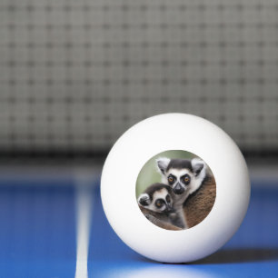 Mommy And Baby Lemur Cuddling, Ping Pong Ball