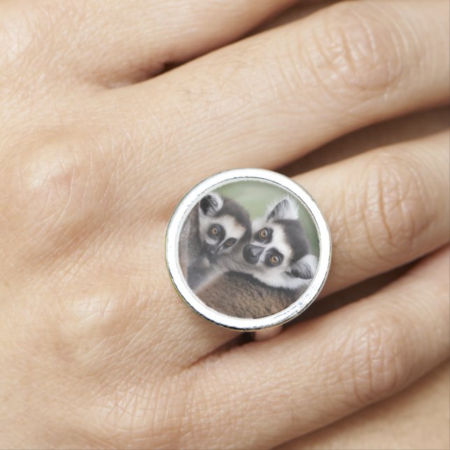 Mommy And Baby Lemur Cuddling, Ring (In Situ)