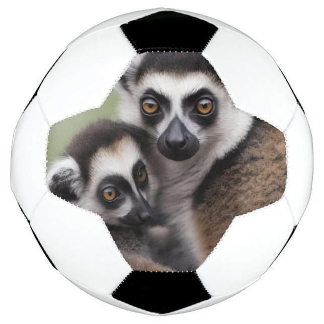 Mommy And Baby Lemur Having A Cuddle, Soccer Ball (Front)