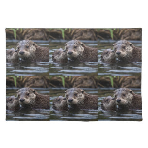 Mommy And Baby Otter Having A Cuddle In The River, Cloth Placemat