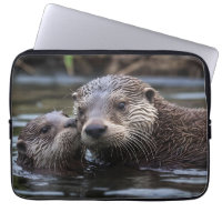 Mommy And Baby Otter Having A Cuddle In The River,
