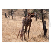 Mommy and Me (Front Horizontal)