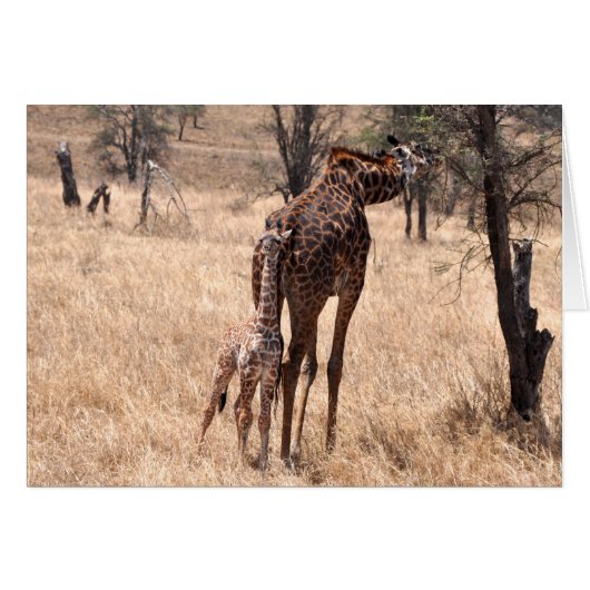 Mommy and Me (Front Horizontal)