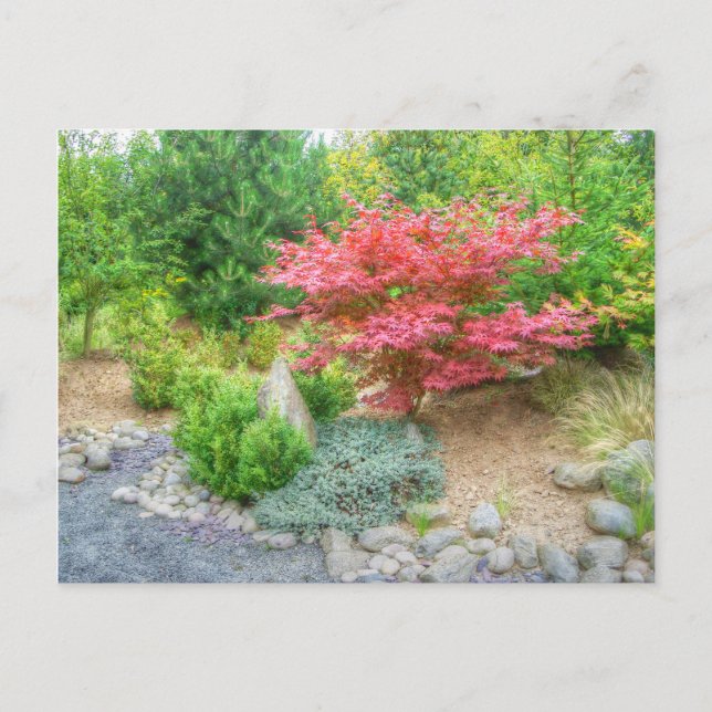 Momotaro Japanese Garden 3 Postcard (Front)