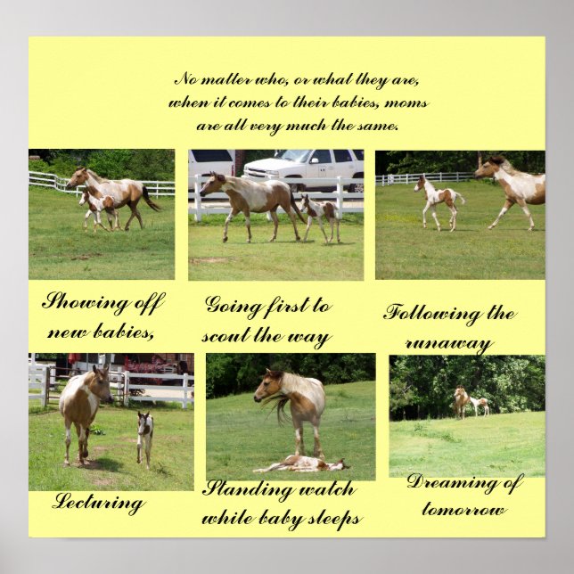 Moms and Babies Poster (Front)