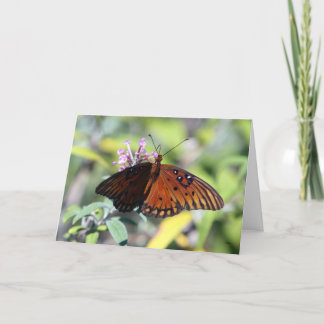 Moms Choice, Hello Card