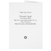 Mom's Eyes Pansies (Back)