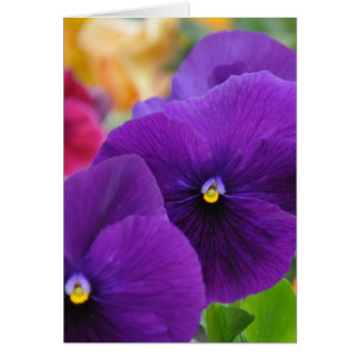 Mom's Eyes Pansies Cards
