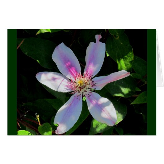 Mom's Flower Garden Cards (Front Horizontal)