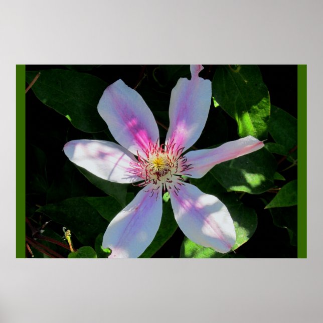 Mom's Flower Garden Poster (Front)