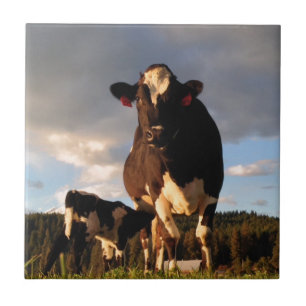 Mom's Milk Tile