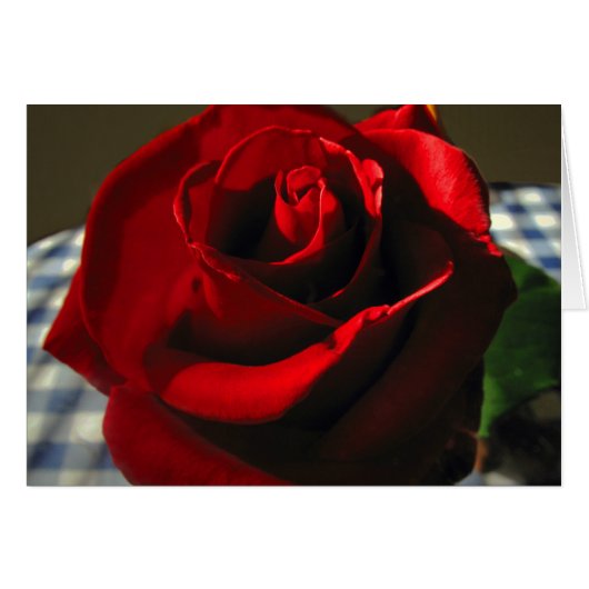 Moms Red Rose Cards (Front Horizontal)