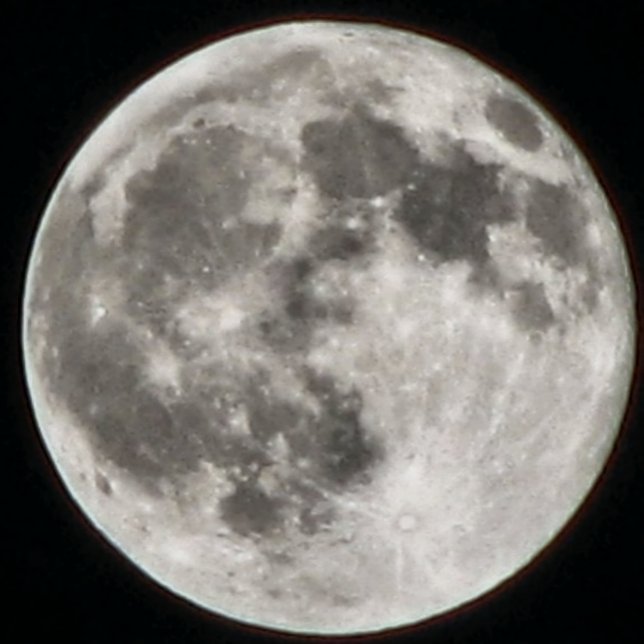 MOMZMOON ROUND PILLOW (Creator Uploaded)