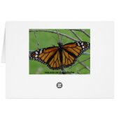 Monach Open Wings, Thinking of "YOU" Cards (Back Horizontal)