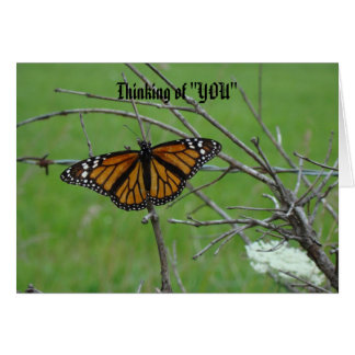 Monach Open Wings, Thinking of "YOU" Cards