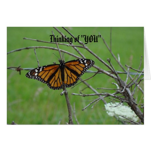 Monach Open Wings, Thinking of "YOU" Cards (Front Horizontal)