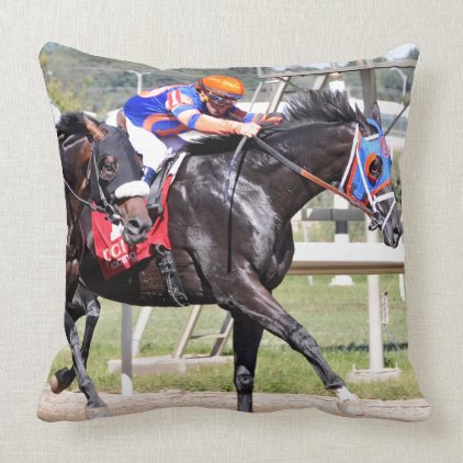 Monaco &amp; Confederate Throw Pillow