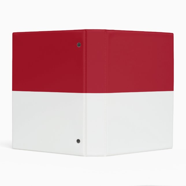 Monaco flag mini binder (Background)