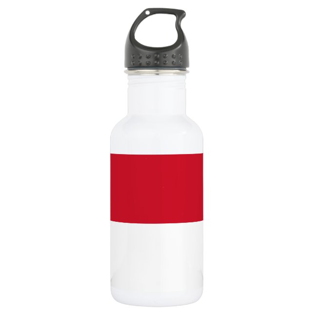 Monaco Flag Stainless Steel Water Bottle (Front)