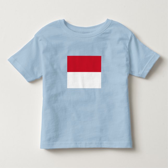 Monaco Flag Toddler T-shirt (Front)
