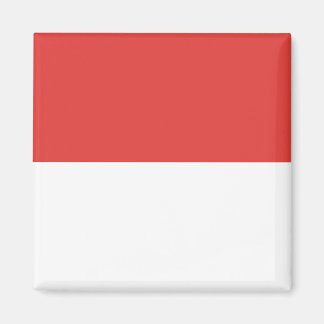 Monaco Magnet