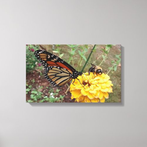 Monarch and Bee on Yellow Zinnia Canvas Print