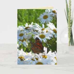Monarch and Daisies Card