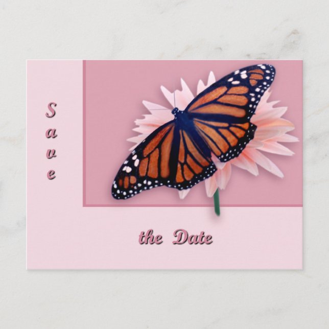 Monarch Announcement Postcard (Front)