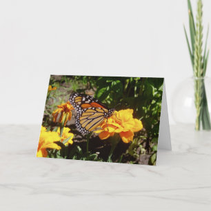 "Monarch At Lunch" Get Well Card