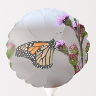 Monarch Balloon