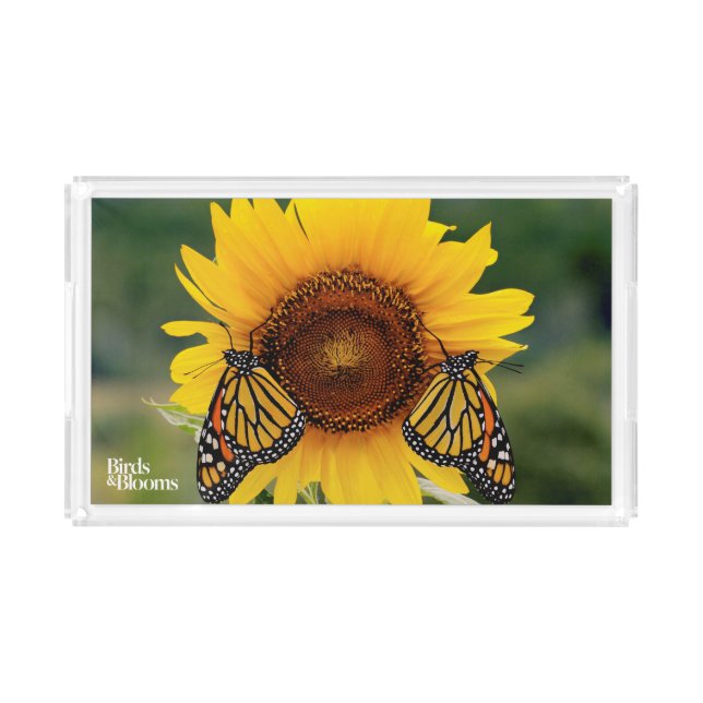 Monarch Butterfies on Sunflower Acrylic Tray (Front)