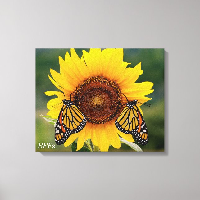 Monarch Butterfies on Sunflower Canvas Print (Front)