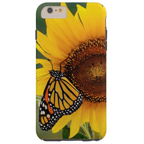 Monarch Butterfies on Sunflower Tough iPhone 6 Plus Case