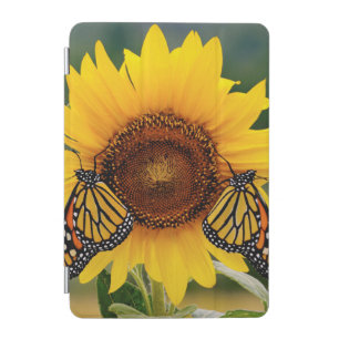 Monarch Butterfies on Sunflower iPad Mini Cover