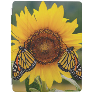 Monarch Butterfies on Sunflower iPad Smart Cover